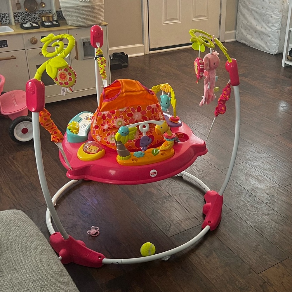 Fisher Price baby bouncer pink petals